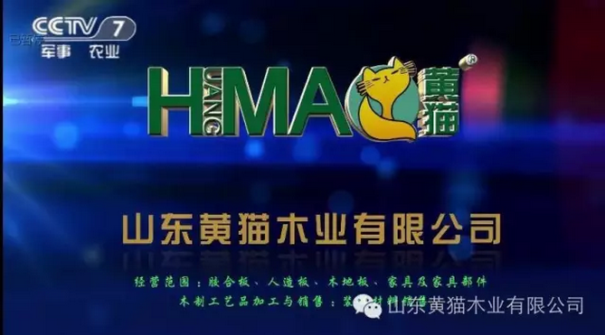 山東黃貓木業(yè)有限公司成功登陸CCTV-7！！
