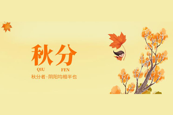  黃貓板材 | 一夜秋聲轉，夜夜增時長
