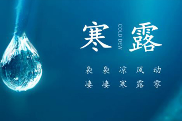 黃貓板材 | 深秋漸至，寒露滿枝