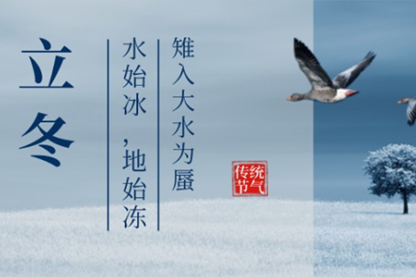 立冬到來百花凋，唯有臘梅雪中笑